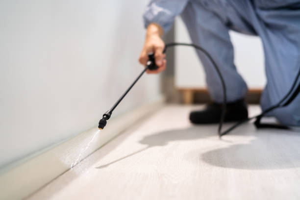 Rodent Entry Point Assessment in Grasonville