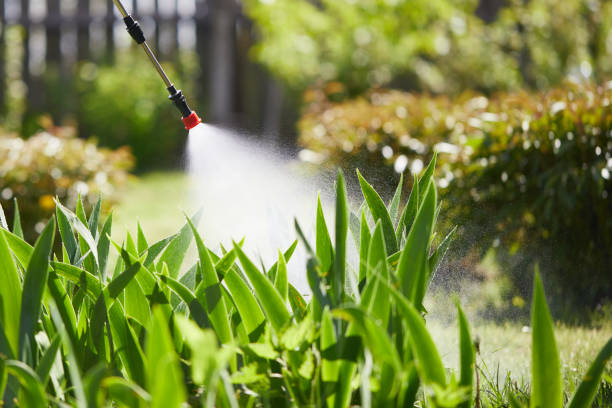 Tamper-Resistant Bait Stations for Rodents in Grasonville